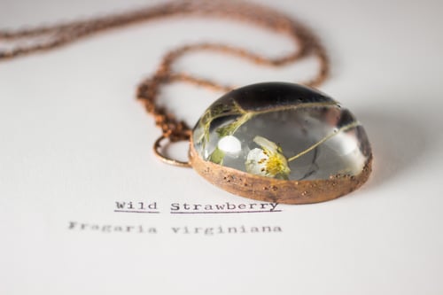 Image of Wild Strawberry (Fragaria virginiana) - Copper Plated Necklace #7