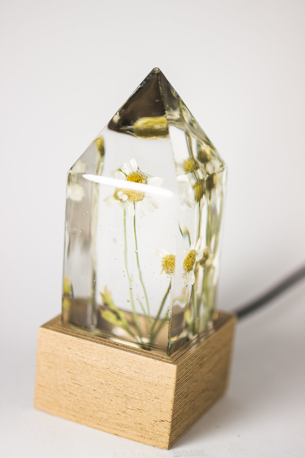 Image of Feverfew (Tanacetum parthenium) - Floral Prism Desk Light #1