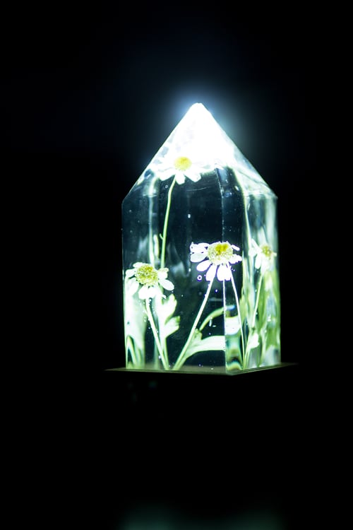 Image of Feverfew (Tanacetum parthenium) - Floral Prism Desk Light #2