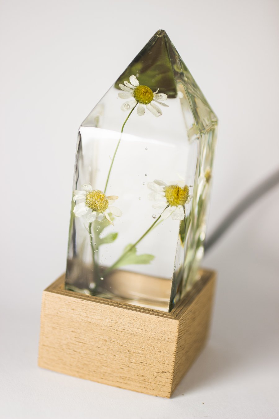 Image of Feverfew (Tanacetum parthenium) - Floral Prism Desk Light #2