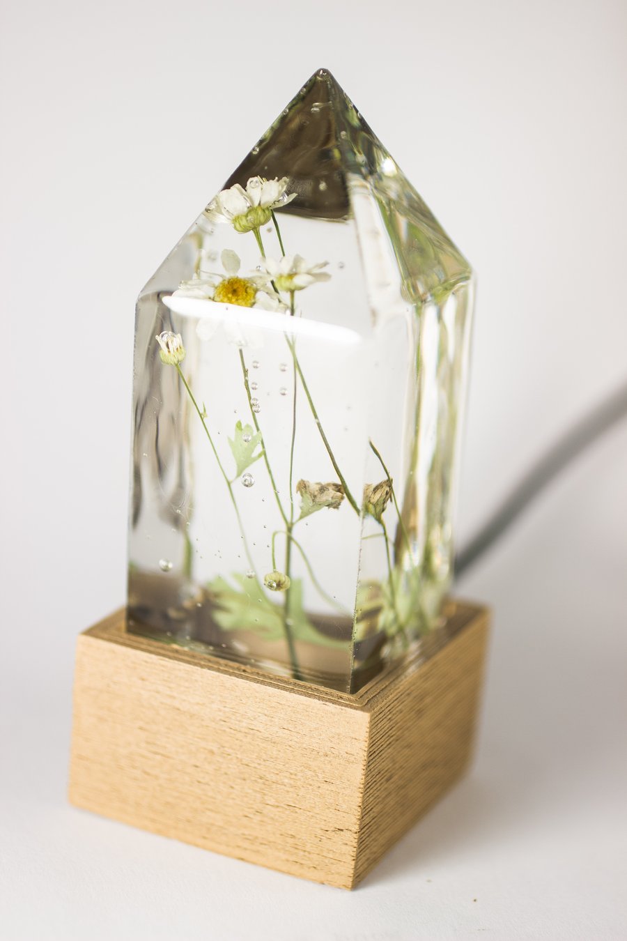 Image of Feverfew (Tanacetum parthenium) - Floral Prism Desk Light #3