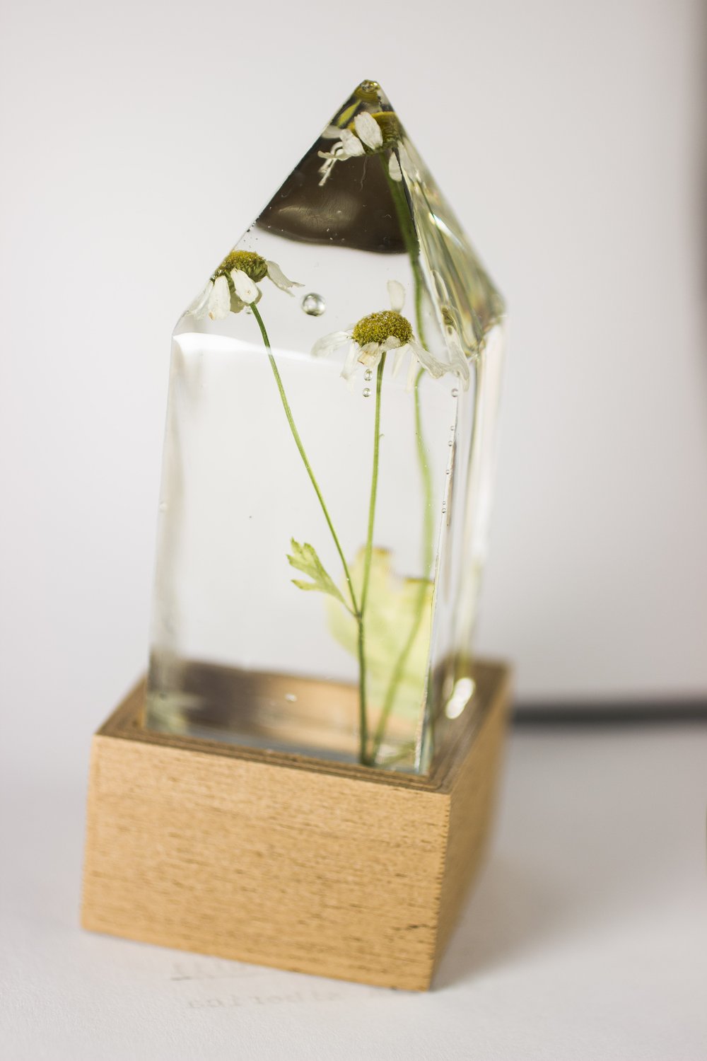 Image of Feverfew (Tanacetum parthenium) - Floral Prism Desk Light #4