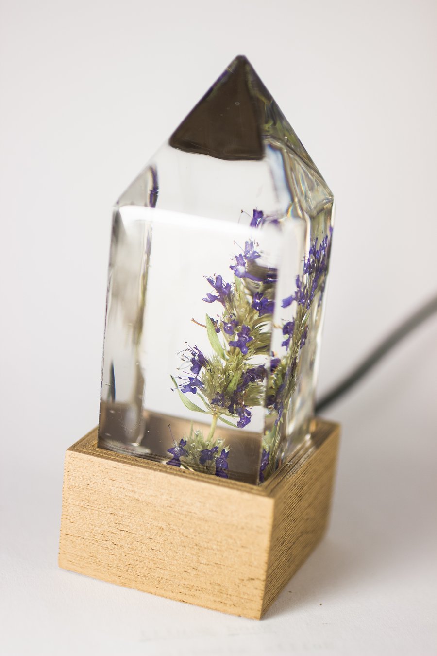 Image of Hyssop (Hyssopus officinalis) - Floral Night-Light #1