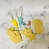 Decorate Your Own Cookies Pack