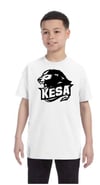 KESA 