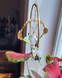 Image 1 of Orbium Persephone 