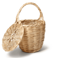 BIRKIN BASKET