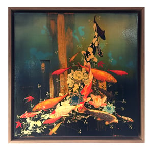 Image of Original Canvas - Koi with Blossoms and Lilies - 50cm x 50cm