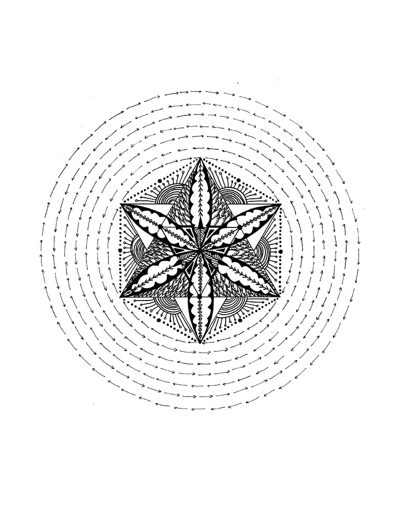 Cosmic Flow