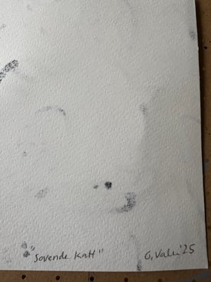 Image of Sovende katt