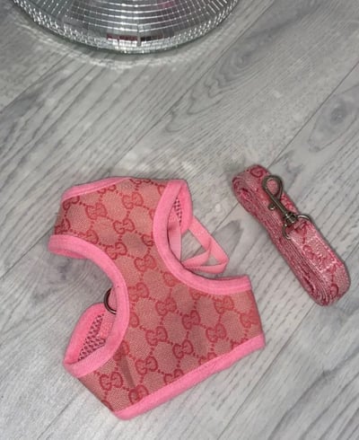 Image of PUCCI Pink Harness + Leash