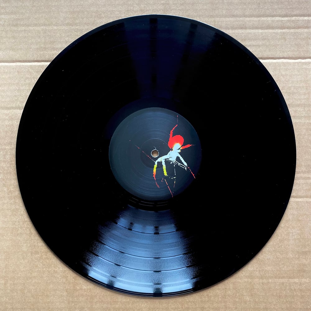 TARAS BULBA 'Sometimes The Night' Vinyl LP