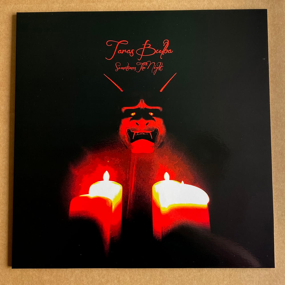 TARAS BULBA 'Sometimes The Night' Vinyl LP