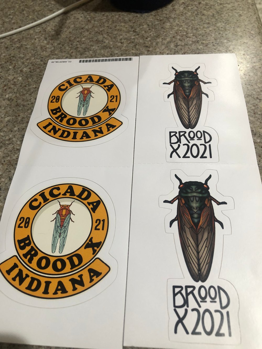BroodX Cicada Decal