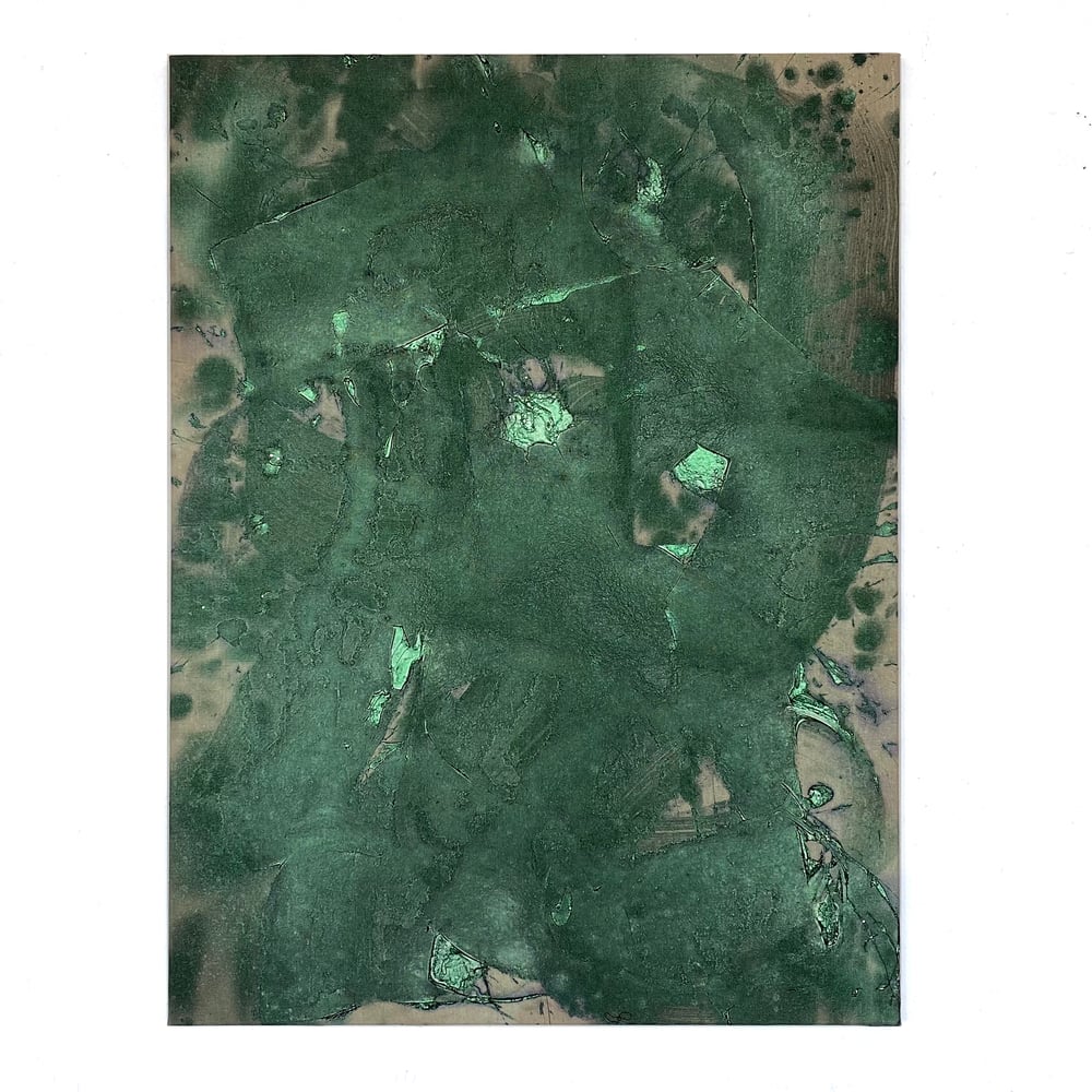 Image of BRAVE SHOE / NIELS SHOE MEULMAN