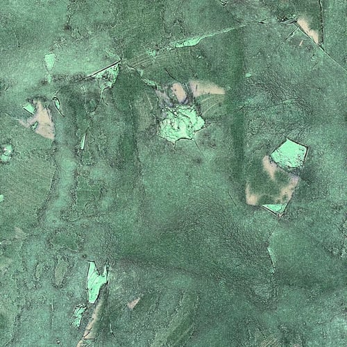 Image of BRAVE SHOE / NIELS SHOE MEULMAN