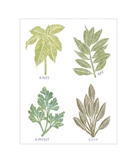 Four Herbs 8x10 print