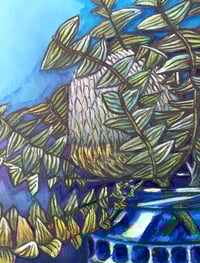 Image 5 of Coffee shop Banksia in blue