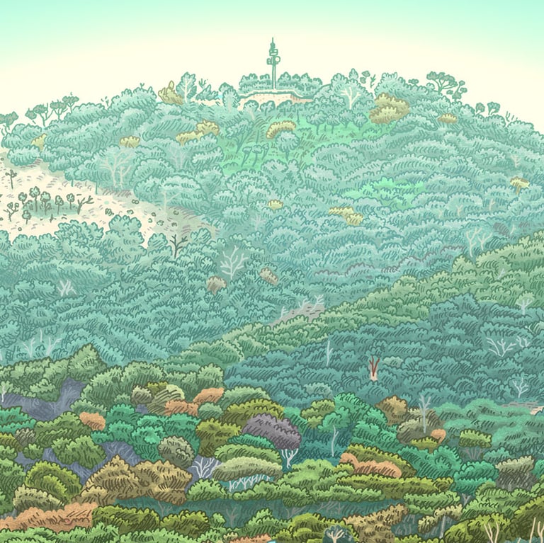 Mount Ainslie from Anzac Parade Image 4
