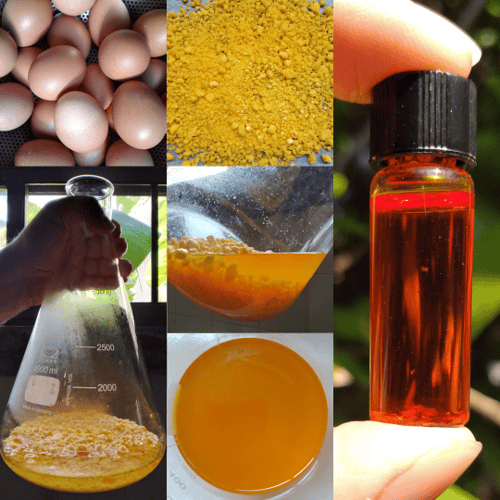 Image of OIL of EGG - Alchemically Prepared - Batch #2