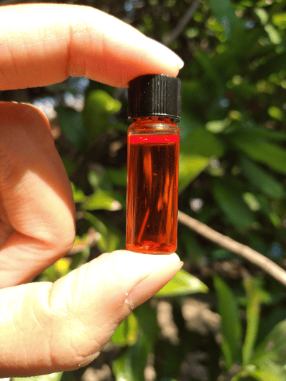 Image of OIL of EGG - Alchemically Prepared - Batch #2