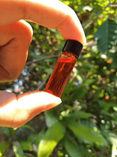 Image of OIL of EGG - Alchemically Prepared - Batch #2