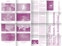 Image 2 of ARC: Proxyerotics (4 fold out prints and sleeve)