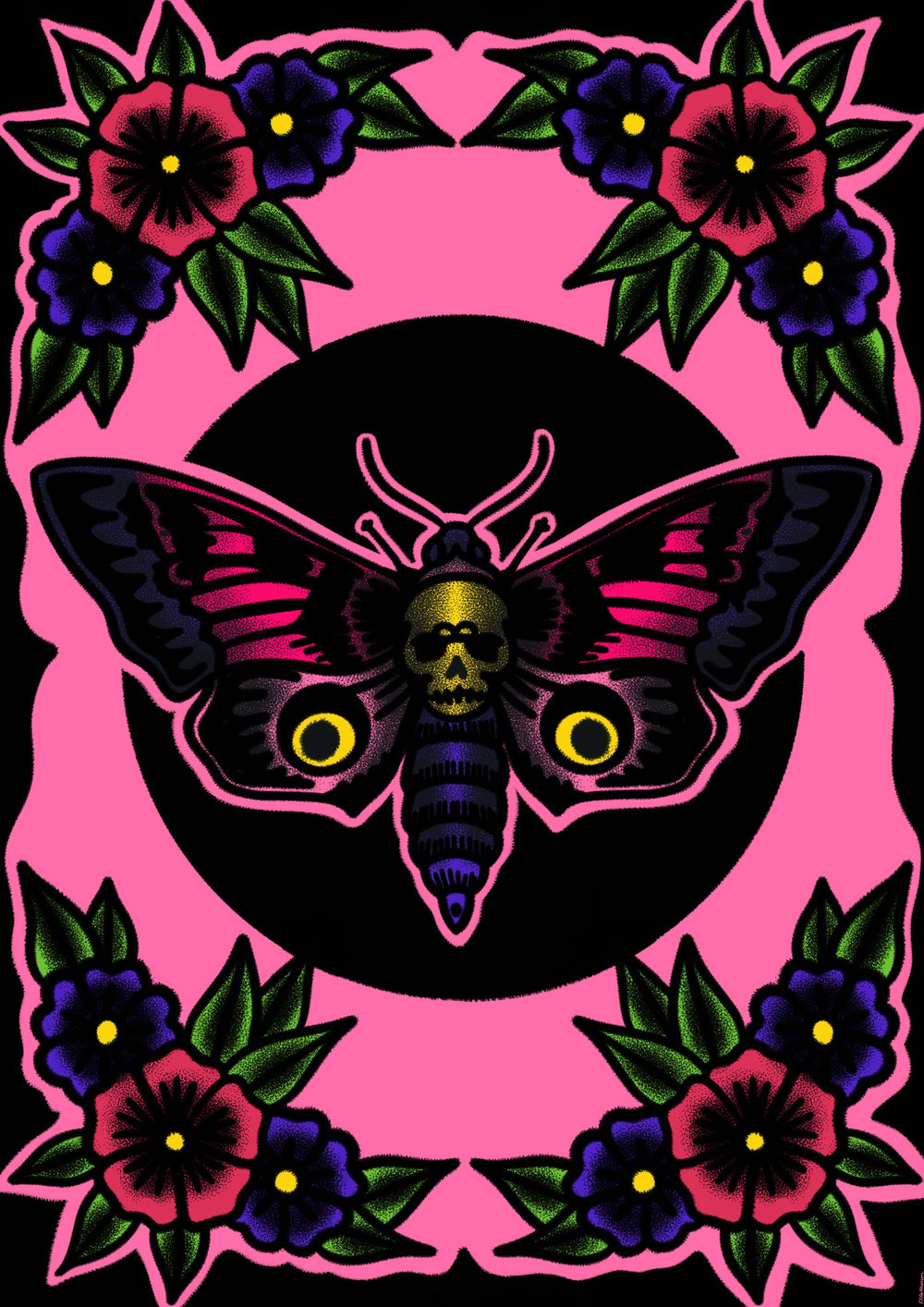 Image of Funky  moth 🦋