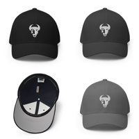 Flexfit Cap - Embroidered Logo