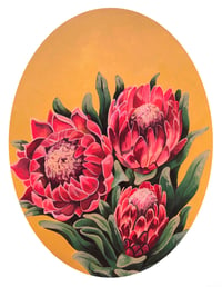 Protea print