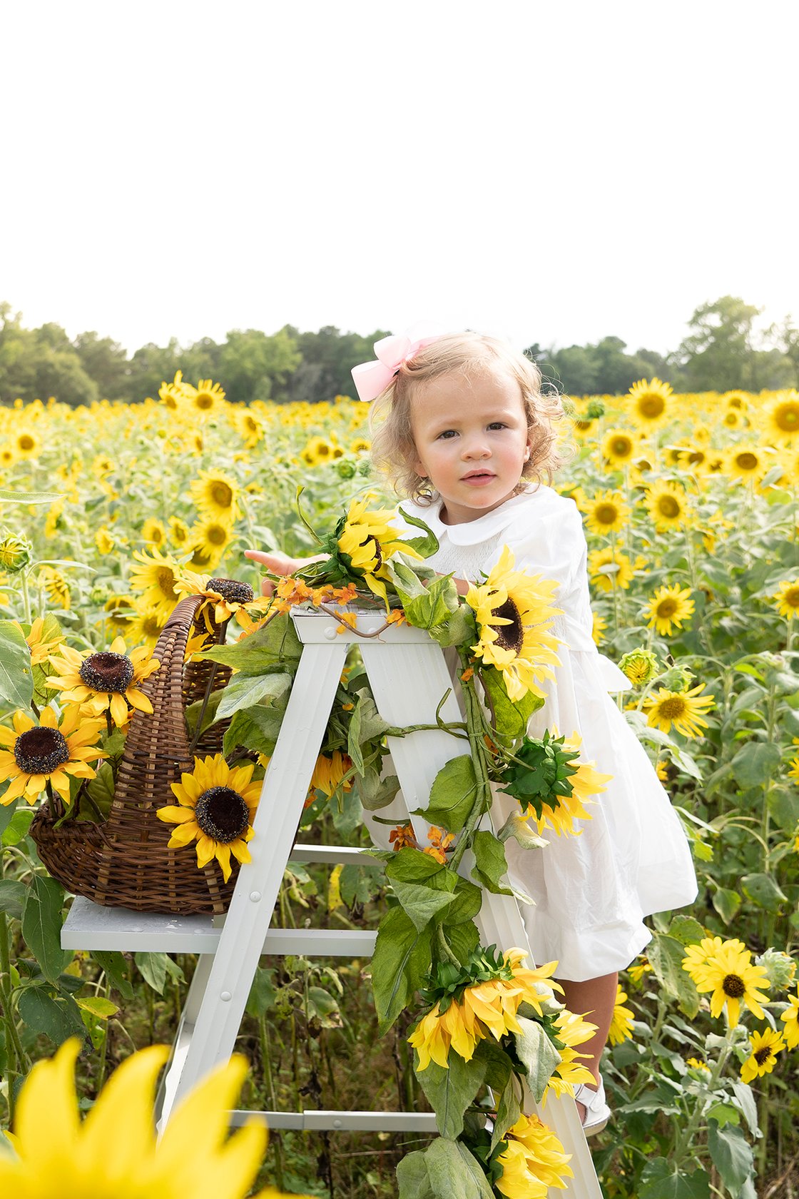 Image of Sunflowers - retainer fee