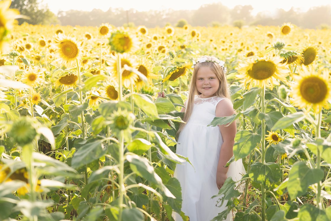 Image of Sunflowers - retainer fee