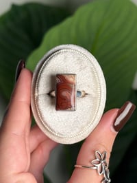 Image 1 of LAGUNA LACE AGATE RING O .925 SS SIZE 8