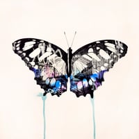 Image 1 of Graffiti Butterfly (Blue)