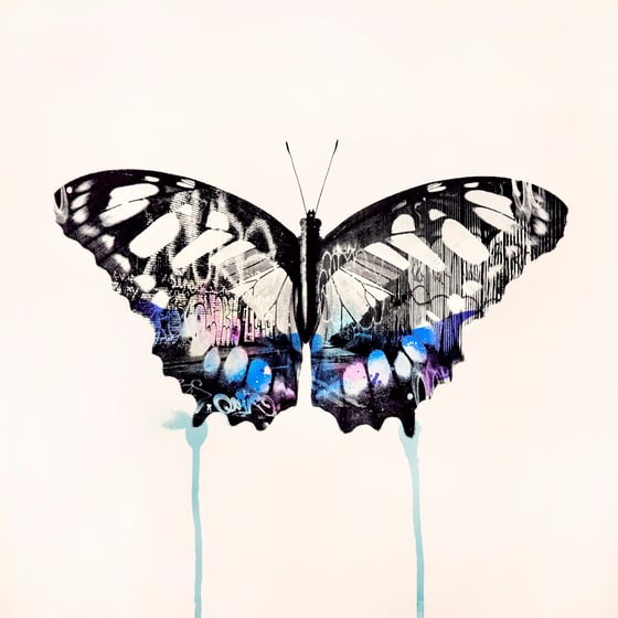 Image of Graffiti Butterfly (Blue)