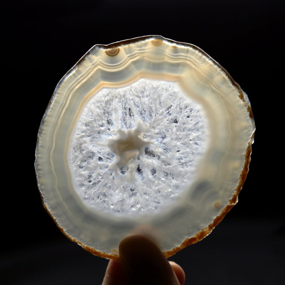 Image of 冰花雪紋 |A.P.