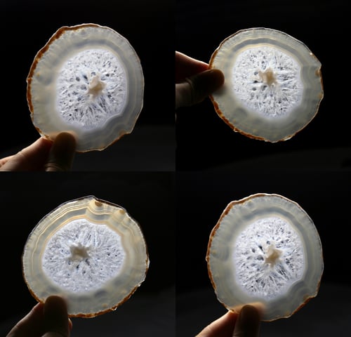 Image of 冰花雪紋 ｜A.P.