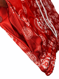 Image 1 of Paisley No Feelings "Tri Blend"