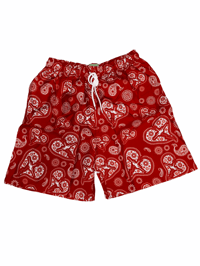 Image 3 of Paisley No Feelings Swimming Trunks