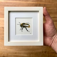 Image 3 of Bee Mini Framed Original Pen&Ink Drawing SOLD