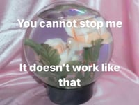 Image 2 of You cannot stop me it doesn’t work like that 