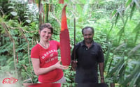 Jual Buah Merah Papua Di Jakarta