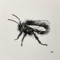 Image 1 of Bee Mini Framed Original Pen Drawing SOLD