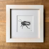Image 2 of Bee Mini Framed Original Pen Drawing SOLD