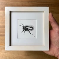 Image 3 of Bee Mini Framed Original Pen Drawing SOLD