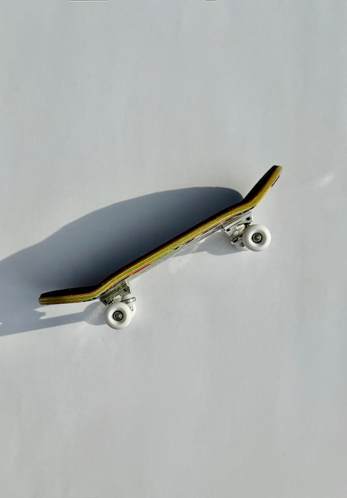 Image of Venus Flytrap complete