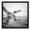 THE PHOENIX  -  Canvas Print (Ready to hang) with float frame options.