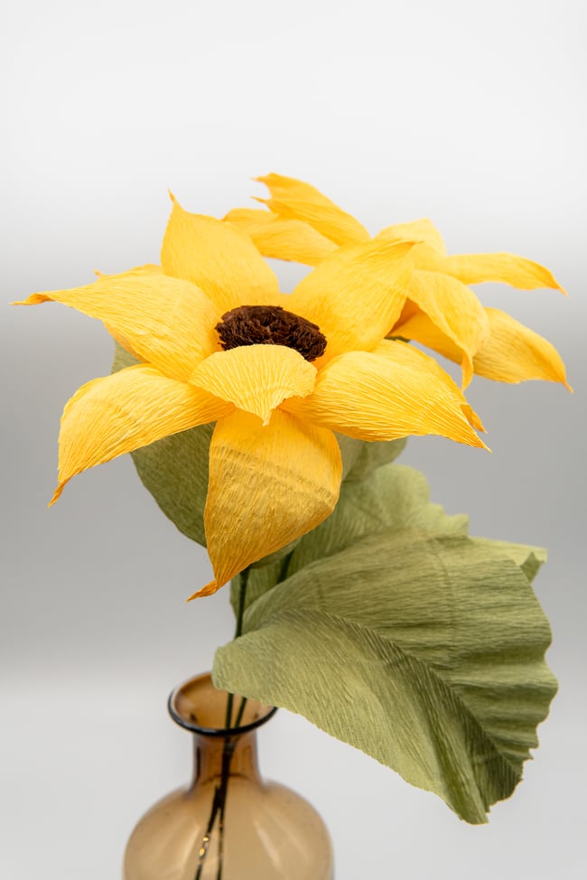 Girasoli