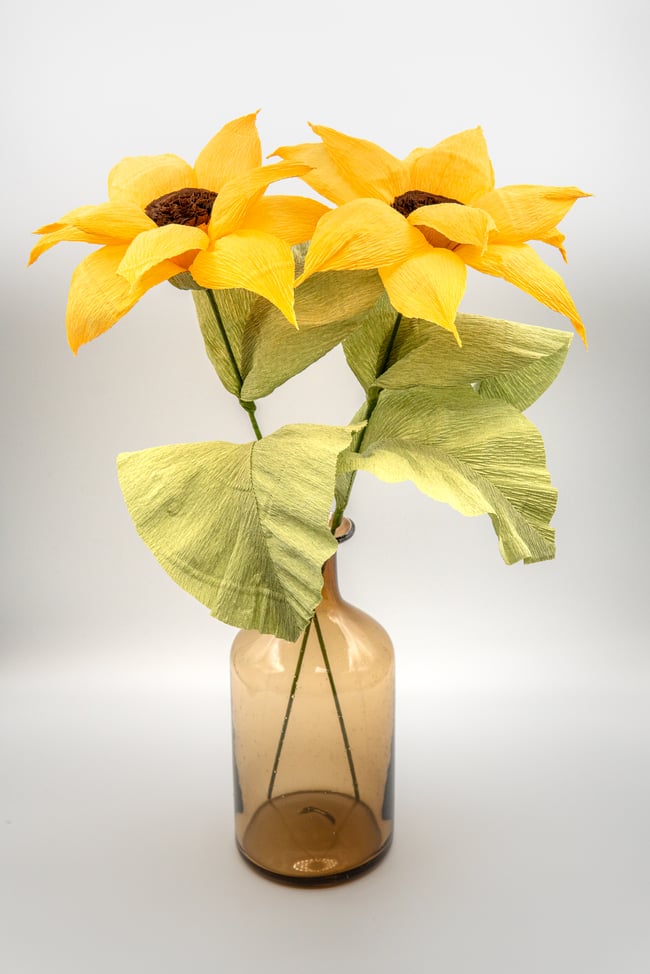 Girasoli