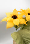 Girasoli
